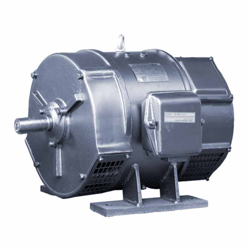 客觀(guān)分析2025年三相異步電動(dòng)機(jī)發(fā)展趨勢(shì)